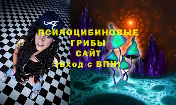 гидропоника Балабаново